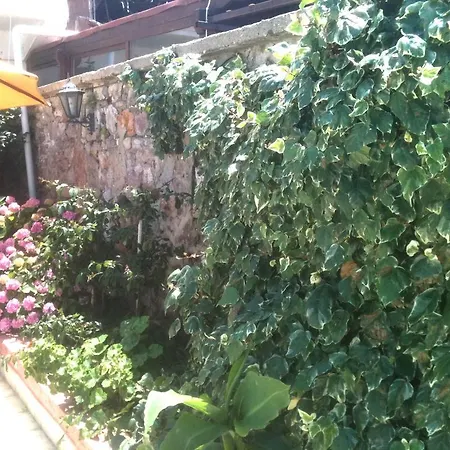 Kaptan Otel Ayvalı